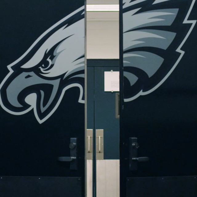 This is everything and more. www.FlyEaglesFly.com