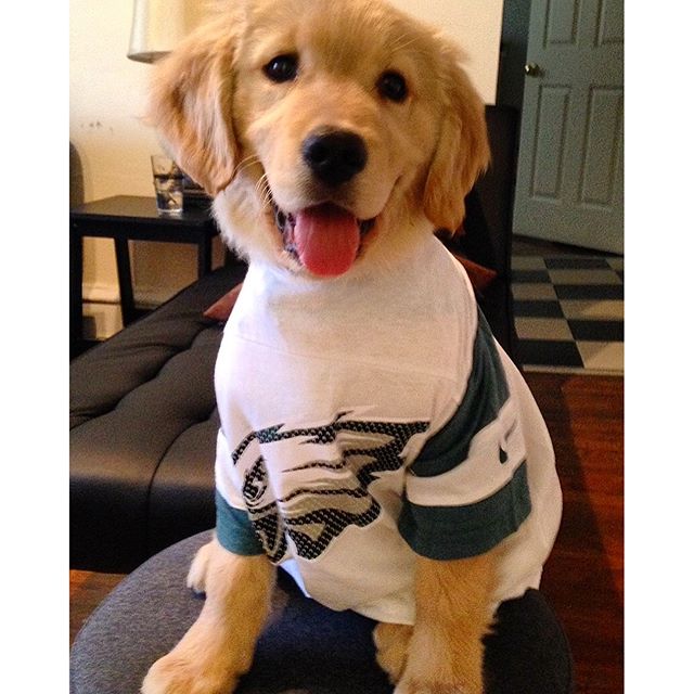 Did someone say #NationalPuppyDay?